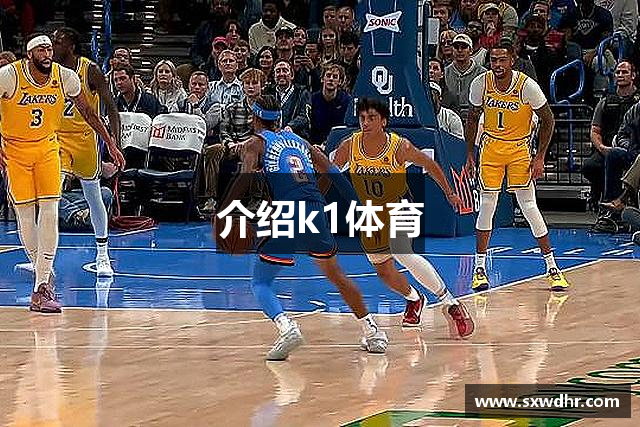 介绍k1体育